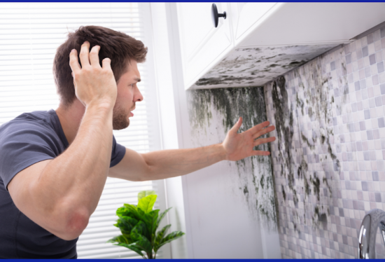 Could Mold Cause Your Mast Cell Activation Syndrome