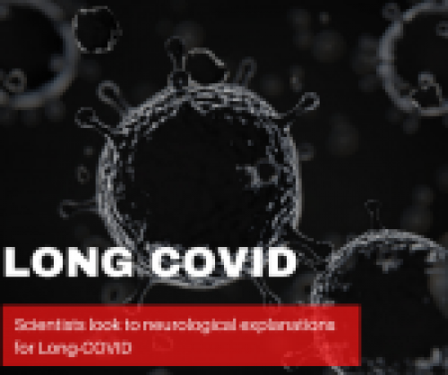 Long COVID - a neurological explanation