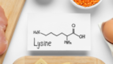 lysine essential amino acid for health