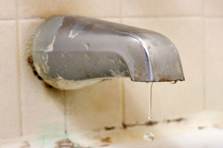 symptoms of mold toxicity - functional medicine