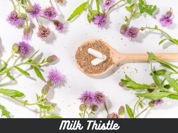 How milk thistle helps your liver during a detox