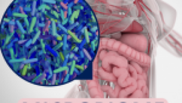 Role of the Gut Microbiome in Chronic Diseases
