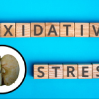 oxidative stress - functional medicine approach