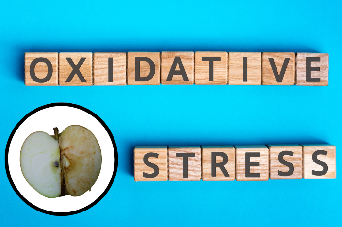 oxidative damage - oxidative stress - functional medicine approach