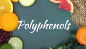 polyphenols and your health