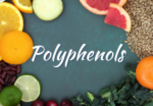 polyphenols and your health